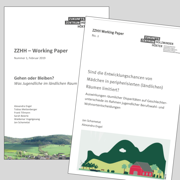 ZZHH Working Paper